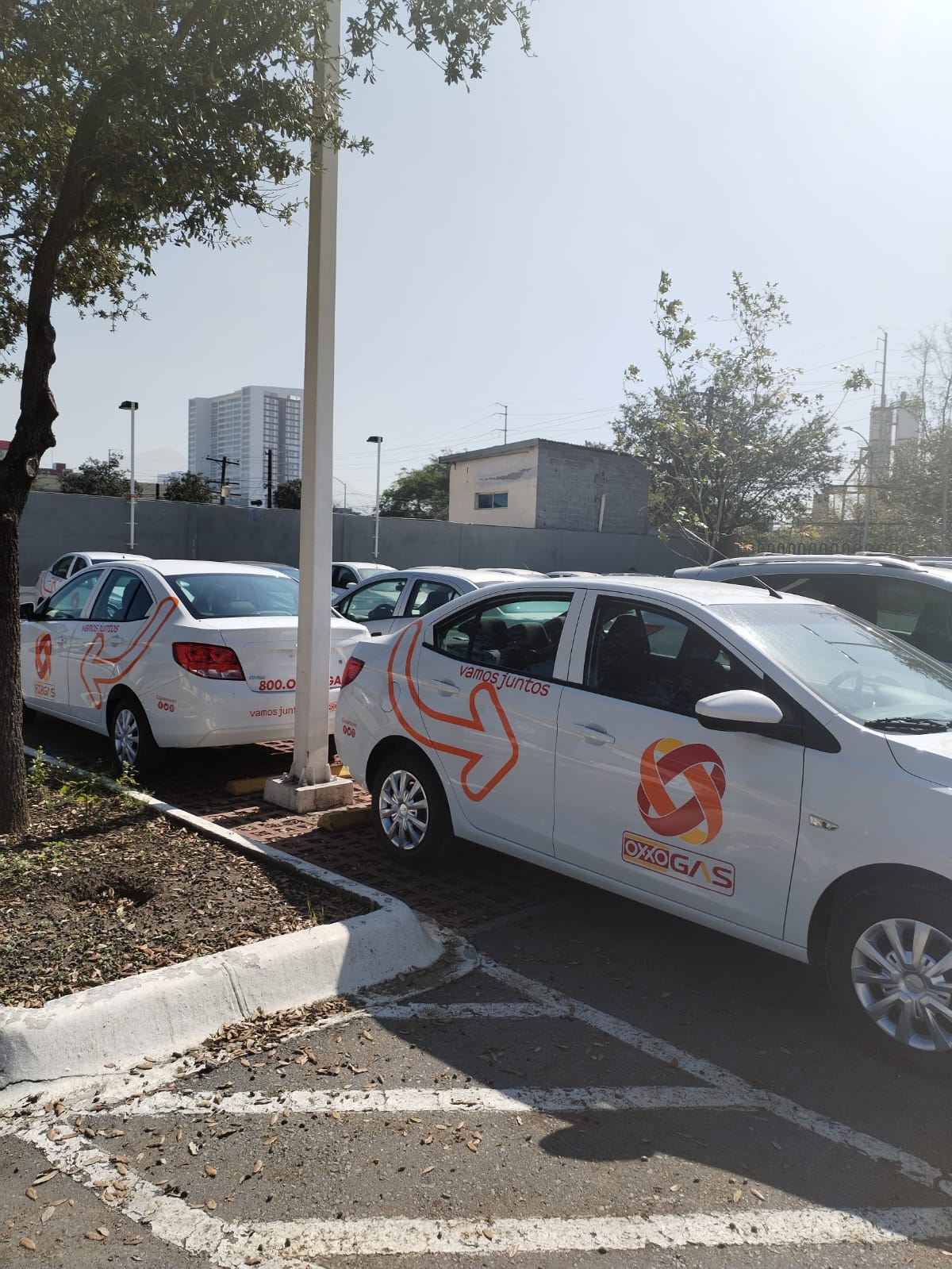 rotulacion-monterrey-flotilla-carro